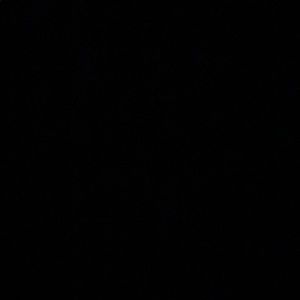 Meet your Posher, Sandy